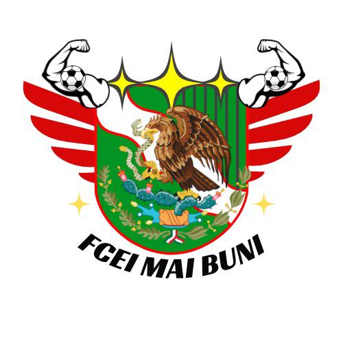 FCEI MAI BUNI